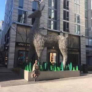 Meet your Posher, Ann